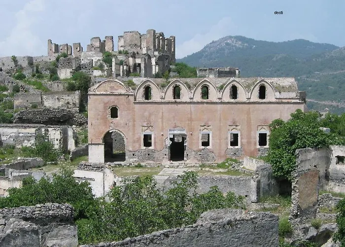 Cloud9 홈스테이 페티예