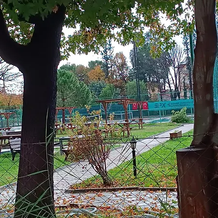 Cloud9 * フェティエ