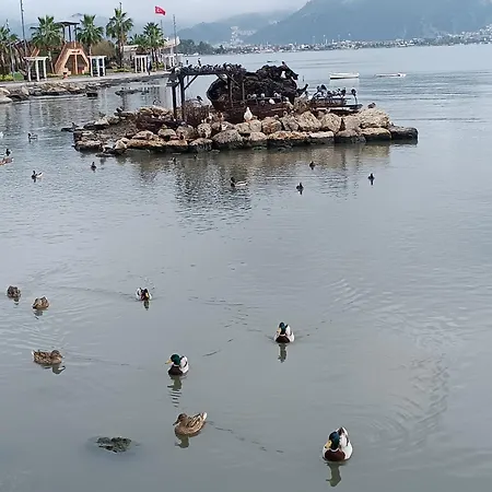 ホームステイ Cloud9