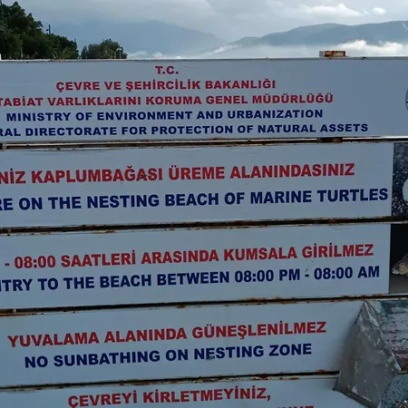 ホームステイ Cloud9 フェティエ